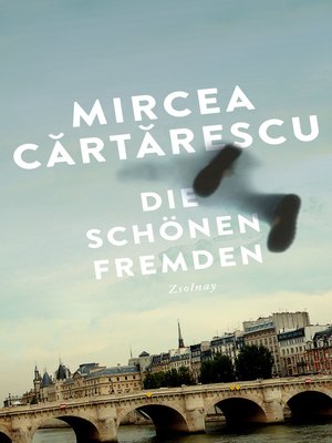 cover image of Die schönen Fremden